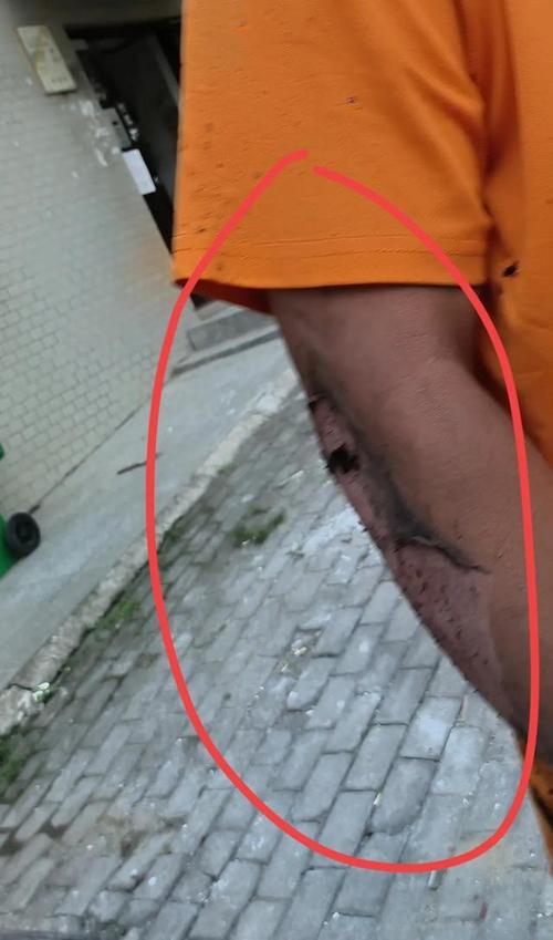 下载中心 第21页